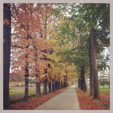 Fall in Brabant