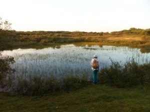 duinen bakkum 2